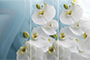 Стол обеденный Бостон-2 на опоре брифинг-хром столешница с фотопечатью белая орхидея
